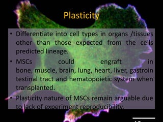 Fundamental of mesenchymal stem cells as a promising candidate in ...