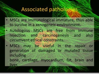 Fundamental of mesenchymal stem cells as a promising candidate in ...