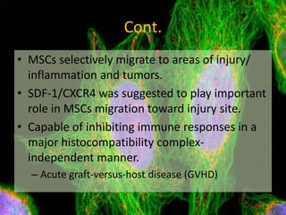 Fundamental of mesenchymal stem cells as a promising candidate in ...