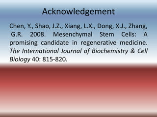 Fundamental of mesenchymal stem cells as a promising candidate in ...