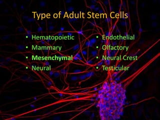 Fundamental of mesenchymal stem cells as a promising candidate in ...