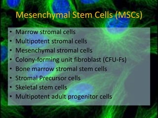 Fundamental of mesenchymal stem cells as a promising candidate in ...