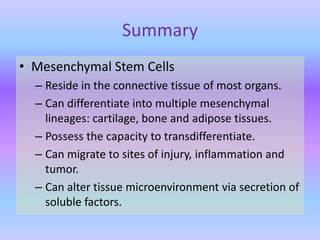 Fundamental of mesenchymal stem cells as a promising candidate in regenerative medicine