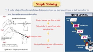 fundamentalprinciplesofmicrobiology-210520075846.pptx