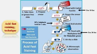 fundamentalprinciplesofmicrobiology-210520075846.pptx