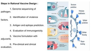 fundamental research of rational vaccines.pptx