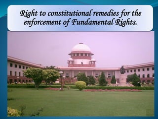 Right to constitutional remedies for the 
enforcement of Fundamental Rights. 
 