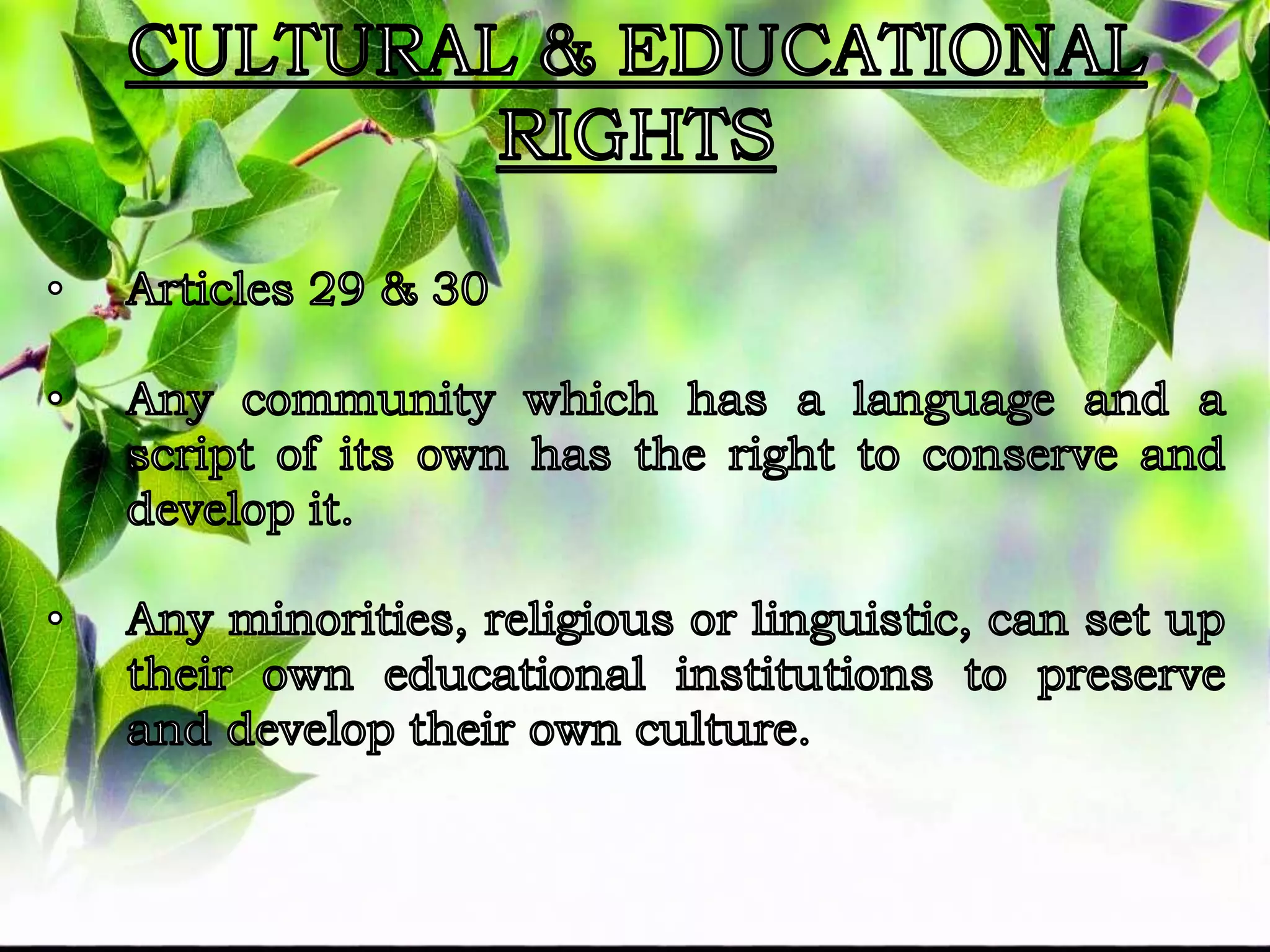 Fundamental rights | PPTX