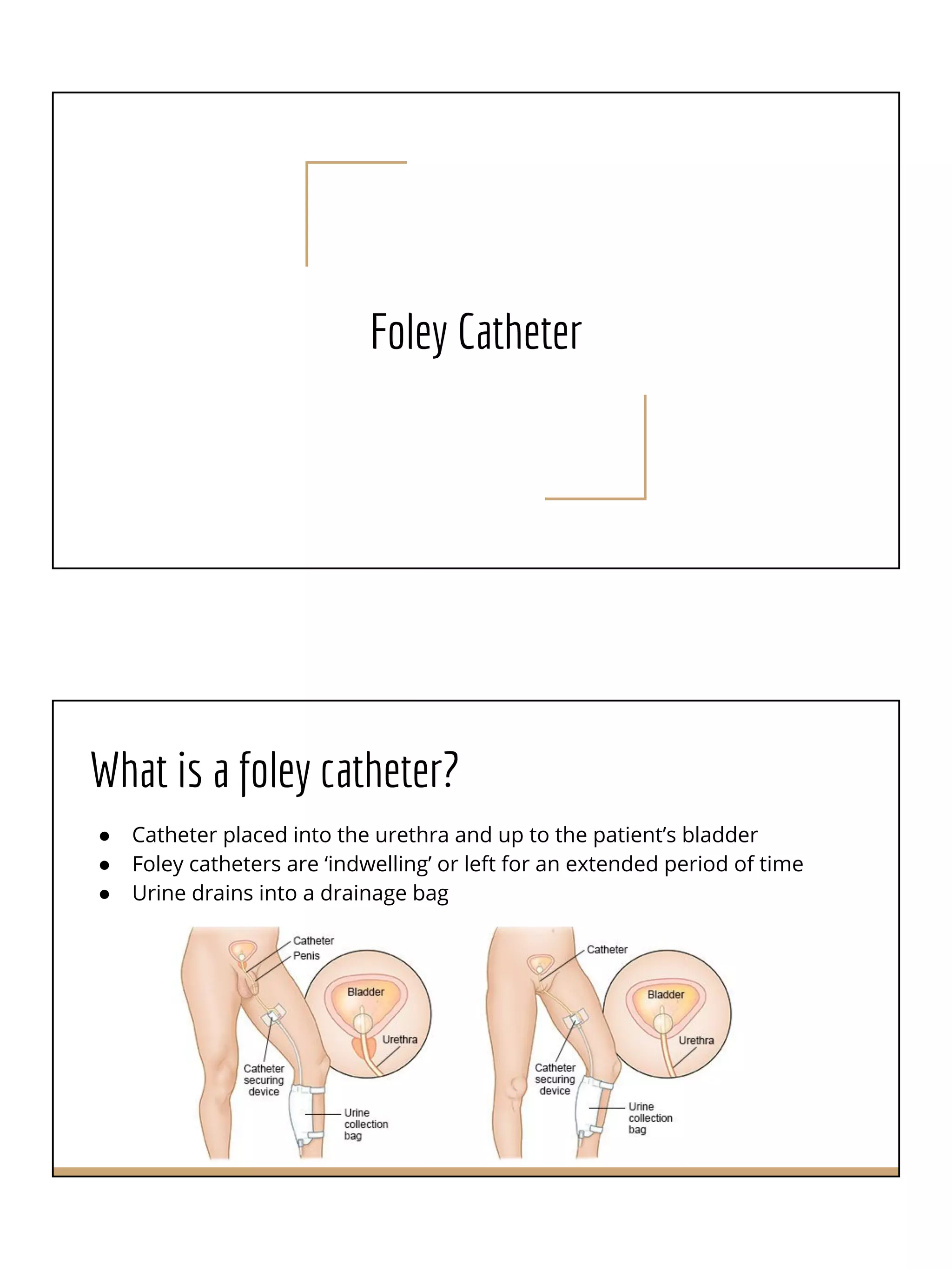 Is Archer Review Harder Than Nclex 80 - 5whkk8p