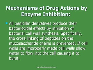 Mechanisms of Drug Actions by Enzyme Inhibition:   All penicillin derivatives produce their bacteriocidal effects by inhibition of bacterial cell wall synthesis. Specifically, the cross linking of peptides on the mucosaccharide chains is prevented. If cell walls are improperly made cell walls allow water to flow into the cell causing it to burst.  www.freelivedoctor.com 