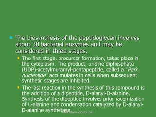The biosynthesis of the peptidoglycan involves about 30 bacterial enzymes and may be considered in three stages.  The first stage, precursor formation, takes place in the cytoplasm. The product, uridine diphosphate (UDP)-acetylmuramyl-pentapeptide, called a " Park nucleotide " accumulates in cells when subsequent synthetic stages are inhibited. The last reaction in the synthesis of this compound is the addition of a dipeptide, D-alanyl-D-alanine. Synthesis of the dipeptide involves prior racemization of L-alanine and condensation catalyzed by D-alanyl-D-alanine synthetase.   www.freelivedoctor.com 