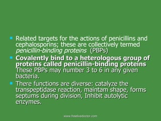 Related targets for the actions of penicillins and cephalosporins; these are collectively termed  penicillin-binding proteins   (PBPs) Covalently bind to a heterologous group of proteins called penicillin-binding proteins  These PBPs may number 3 to 6 in any given bacteria.  There functions are diverse: catalyze the transpeptidase reaction, maintam shape, forms septums during division, Inhibit autolytic enzymes.  www.freelivedoctor.com 