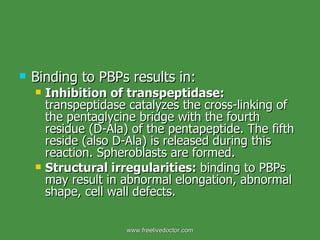 Binding to PBPs results in: Inhibition of transpeptidase:  transpeptidase catalyzes the cross-linking of the pentaglycine bridge with the fourth residue (D-Ala) of the pentapeptide. The fifth reside (also D-Ala) is released during this reaction. Spheroblasts are formed. Structural irregularities:  binding to PBPs may result in abnormal elongation, abnormal shape, cell wall defects. www.freelivedoctor.com 