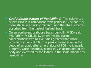 Oral Administration of Penicillin V .  The sole virtue of penicillin V in comparison with penicillin G is that it is more stable in an acidic medium, and therefore is better absorbed from the gastrointestinal tract.  On an equivalent oral-dose basis, penicillin V (K+ salt PEN-VEE K, V-CILLIN K, others) yields plasma concentrations two to five times greater than those provided by penicillin G. The peak concentration in the blood of an adult after an oral dose of 500 mg is nearly 3 mg/ml. Once absorbed, penicillin V is distributed in the body and excreted by the kidney in the same manner as penicillin G. www.freelivedoctor.com 