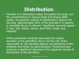 Distribution . Penicillin G is distributed widely throughout the body, but the concentrations in various fluids and tissues differ widely. Its apparent volume of distribution is about 0.35 liters/kg. Approximately 60% of the penicillin G in plasma is reversibly bound to albumin. Significant amounts appear in liver, bile, kidney, semen, joint fluid, lymph, and intestine. While probenecid markedly decreases the tubular secretion of the penicillins, this is not the only factor responsible for the elevated plasma concentrations of the antibiotic that follow its administration. Probenecid also produces a significant decrease in the apparent volume of distribution of the penicillins. www.freelivedoctor.com 