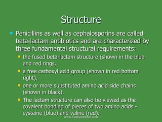 Structure Penicillins as well as cephalosporins are called beta-lactam antibiotics and are characterized by  three  fundamental structural requirements:  the fused beta-lactam structure (shown in the blue and red rings,  a free carboxyl acid group (shown in red bottom right),  one or more substituted amino acid side chains (shown in black).  The lactam structure can also be viewed as the covalent bonding of pieces of two amino acids - cysteine (blue) and valine (red).  www.freelivedoctor.com 