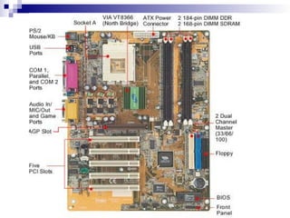 Epp Computer Peripherals EPP5-Q1_ICT_Fundamentals-of-Computer.ppt