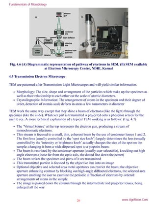 Electron Microscope Notes.pdf Fundamentals of-microbiology | PDF