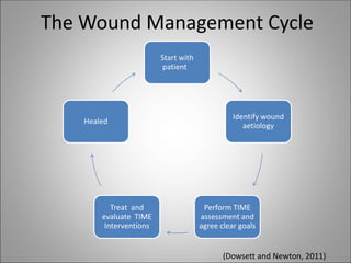 Wound Management Algorithm Fundamentals-of-Wound-Management-2014.pdf