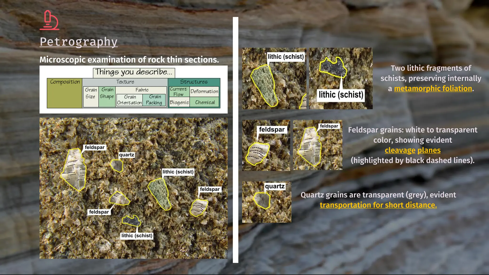 Petrography
Microscopic examination of rock thin sections.
Feldspar grains: white to transparent
color, showing evident
cleavage planes
(highlighted by black dashed lines).
Quartz grains are transparent (grey), evident
transportation for short distance.
Two lithic fragments of
schists, preserving internally
a metamorphic foliation.
 