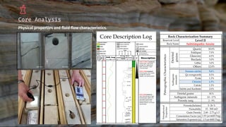 Core Analysis Pdf Fundamentals of Sedimentology and Stratigraphy | PDF