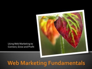Using Web Marketing to Connect, Grow and Profit Web Marketing Fundamentals 