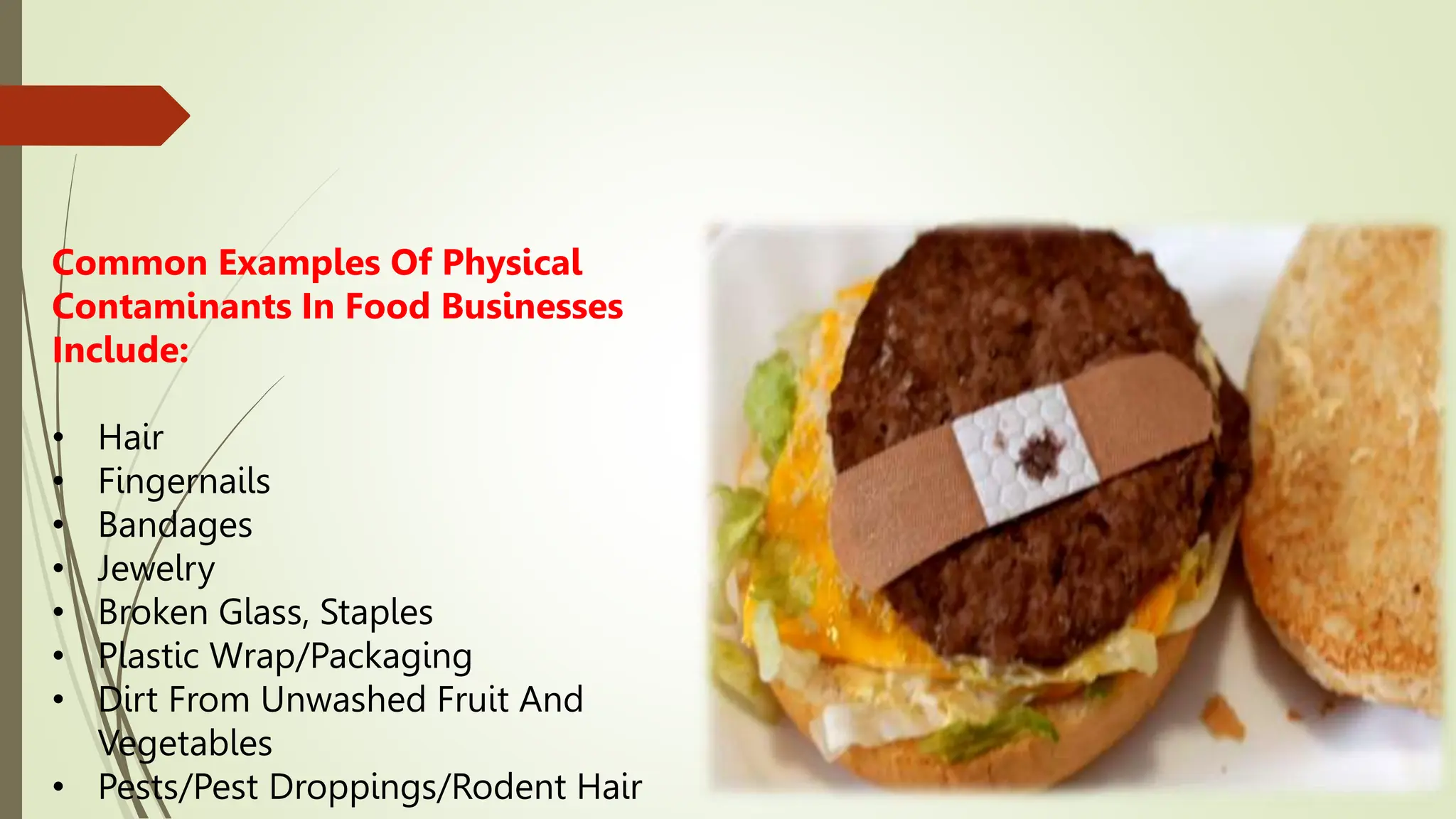 Common Examples Of Physical
Contaminants In Food Businesses
Include:
• Hair
• Fingernails
• Bandages
• Jewelry
• Broken Glass, Staples
• Plastic Wrap/Packaging
• Dirt From Unwashed Fruit And
Vegetables
• Pests/Pest Droppings/Rodent Hair
 