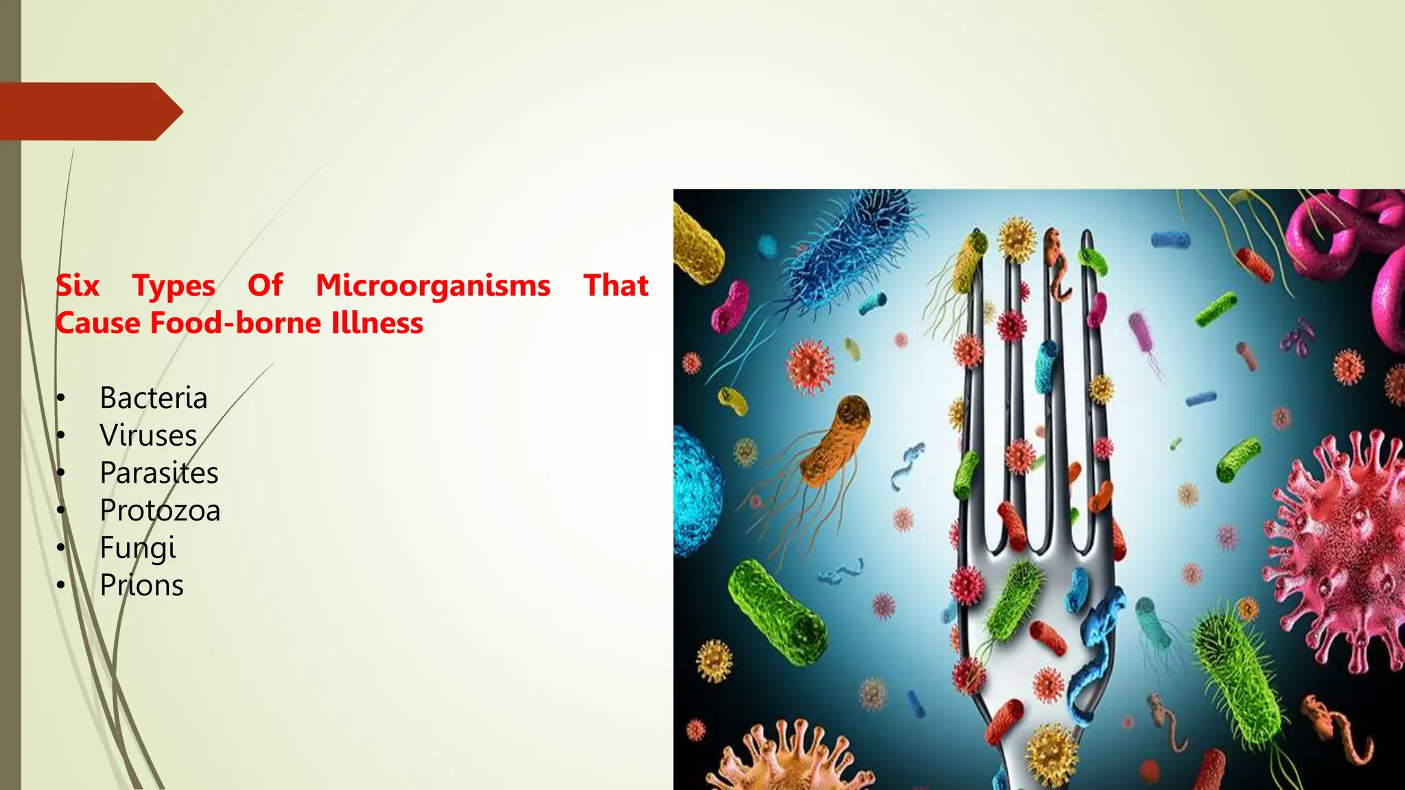 Six Types Of Microorganisms That
Cause Food-borne Illness
• Bacteria
• Viruses
• Parasites
• Protozoa
• Fungi
• Prions
 