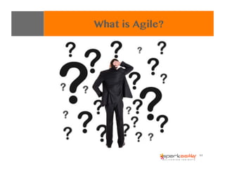 What is Agile?
44	
  
 