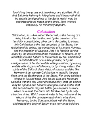 flourishing tree grows out, two things are signified. First,
that Saturn is hid only in hilly places and it behoveth that
he should be digged out of the Earth, which may be
understood to be noted by the circle, from whence
especially his minerality appears.
Calcination
Calcination, as subtle witted Geber will, is the turning of a
thing into dust by the fire, and by the privation of its
humidity, consolidating other parts. According to others,
this Calcination is the last purgation of the Stone, the
restoring of its colour, the conserving of its innate Humour,
and the induction of Solution. And it is fourfold, for it is
either by the desiccation of the moistness of Nature, or by
reduction into the bottom of the furnace by fire, and then it
is called Alcoole or a subtle powder, or by the
amalgamation of familiar metals with quicksilver, by mixing
metals with six parts of Mercury, or by strong waters, the
spirits of the Salts of black vitriol, of sulphur and the like.
However it be, we use Calcination to mundify the part
fixed, and the Earthly part of the Stone. For every calcined
thing is in its kind fixed. And so the Sun and Moon are
calcined with the first water philosophically, that the bodies
may be opened and become spongeous and subtle, that
the second water may the better go in to work its work,
which is to exalt the Earth into Mirable Salt by its only
attractive virtue. Which second water is fire, not natural, by
whose virtue the completement of this art is done.
Moreover, by the Sun here joined with the Moon,
understand the body of Saturn even now to be calcined
 