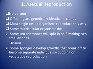 Fundamentals of biology | PPTX