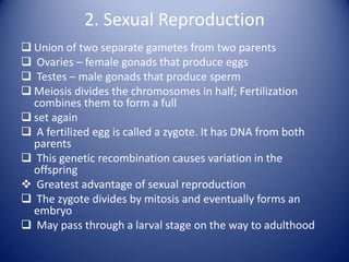 Fundamentals of biology | PPTX