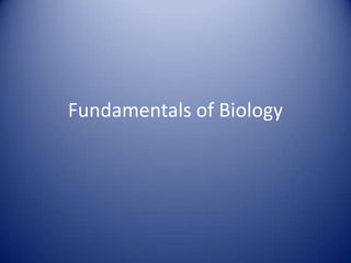 Fundamentals of Biology
 