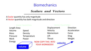 Fundamentals of Biomechanics.pptx