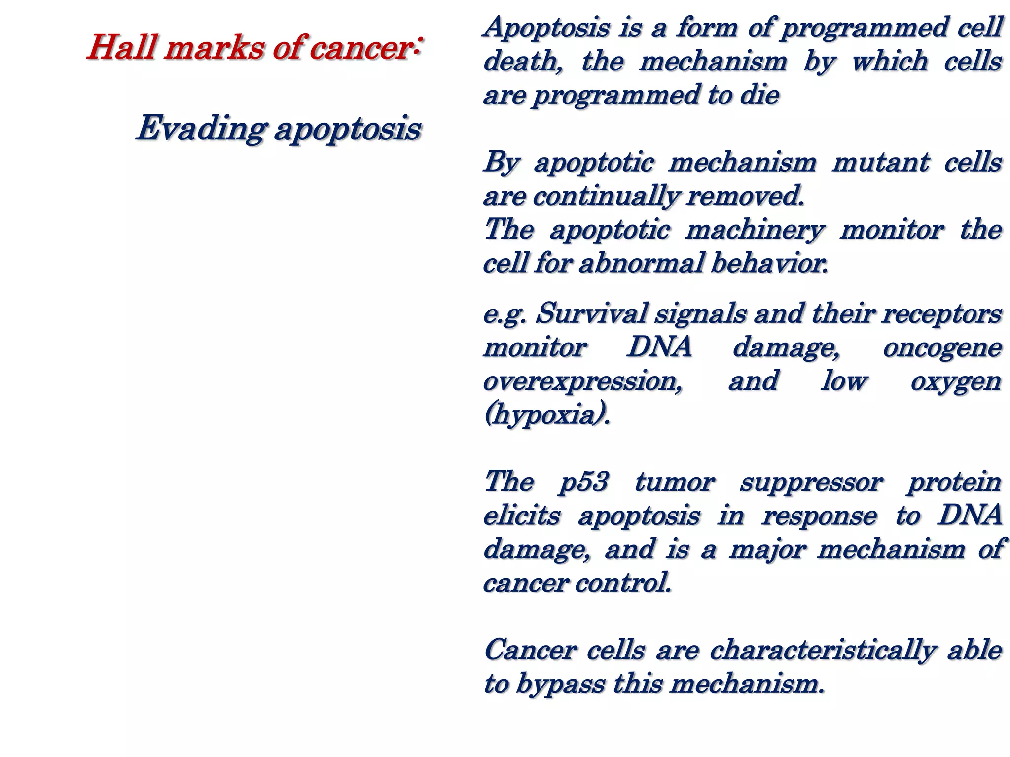 Apoptosis is a form of programmed cell
death, the mechanism by which cells
are programmed to die
By apoptotic mechanism mutant cells
are continually removed.
The apoptotic machinery monitor the
cell for abnormal behavior.
e.g. Survival signals and their receptors
monitor DNA damage, oncogene
overexpression, and low oxygen
(hypoxia).
The p53 tumor suppressor protein
elicits apoptosis in response to DNA
damage, and is a major mechanism of
cancer control.
Cancer cells are characteristically able
to bypass this mechanism.
Hall marks of cancer:
Evading apoptosis
 