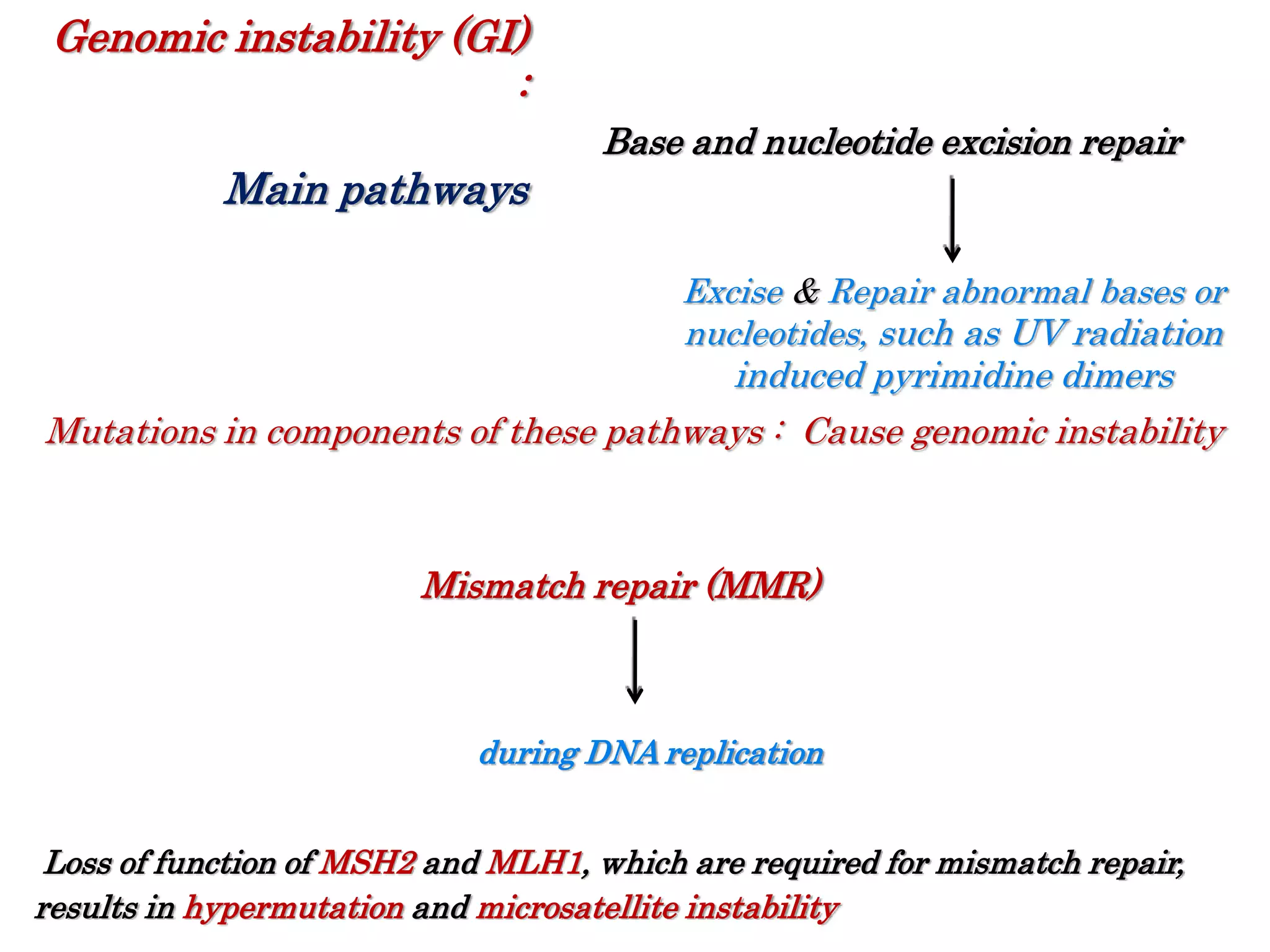 Base and nucleotide excision repair
Excise & Repair abnormal bases or
nucleotides, such as UV radiation
induced pyrimidine dimers
Mutations in components of these pathways : Cause genomic instability
Genomic instability (GI)
:
Main pathways
Mismatch repair (MMR)
during DNA replication
Loss of function of MSH2 and MLH1, which are required for mismatch repair,
results in hypermutation and microsatellite instability
 