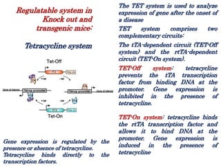Fundamentals of cancer - latest update | PPTX