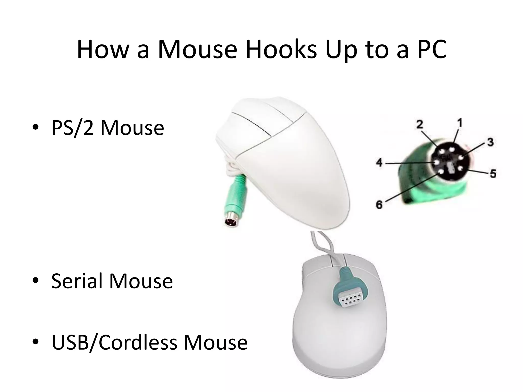 How a Mouse Hooks Up to a PC
• PS/2 Mouse
• Serial Mouse
• USB/Cordless Mouse
 