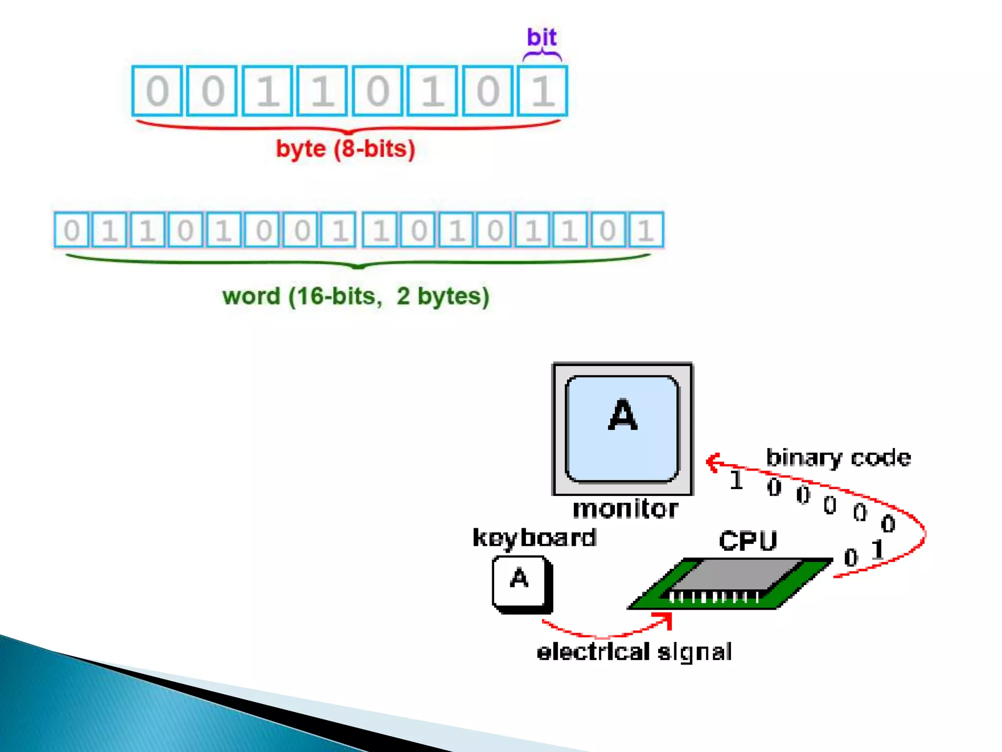 Fundamentals of Computer.pptx