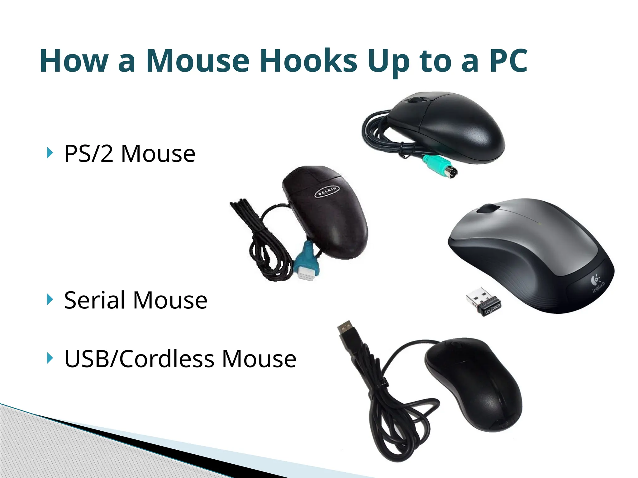  PS/2 Mouse  Serial Mouse  USB/Cordless Mouse How a Mouse Hooks Up to a PC 