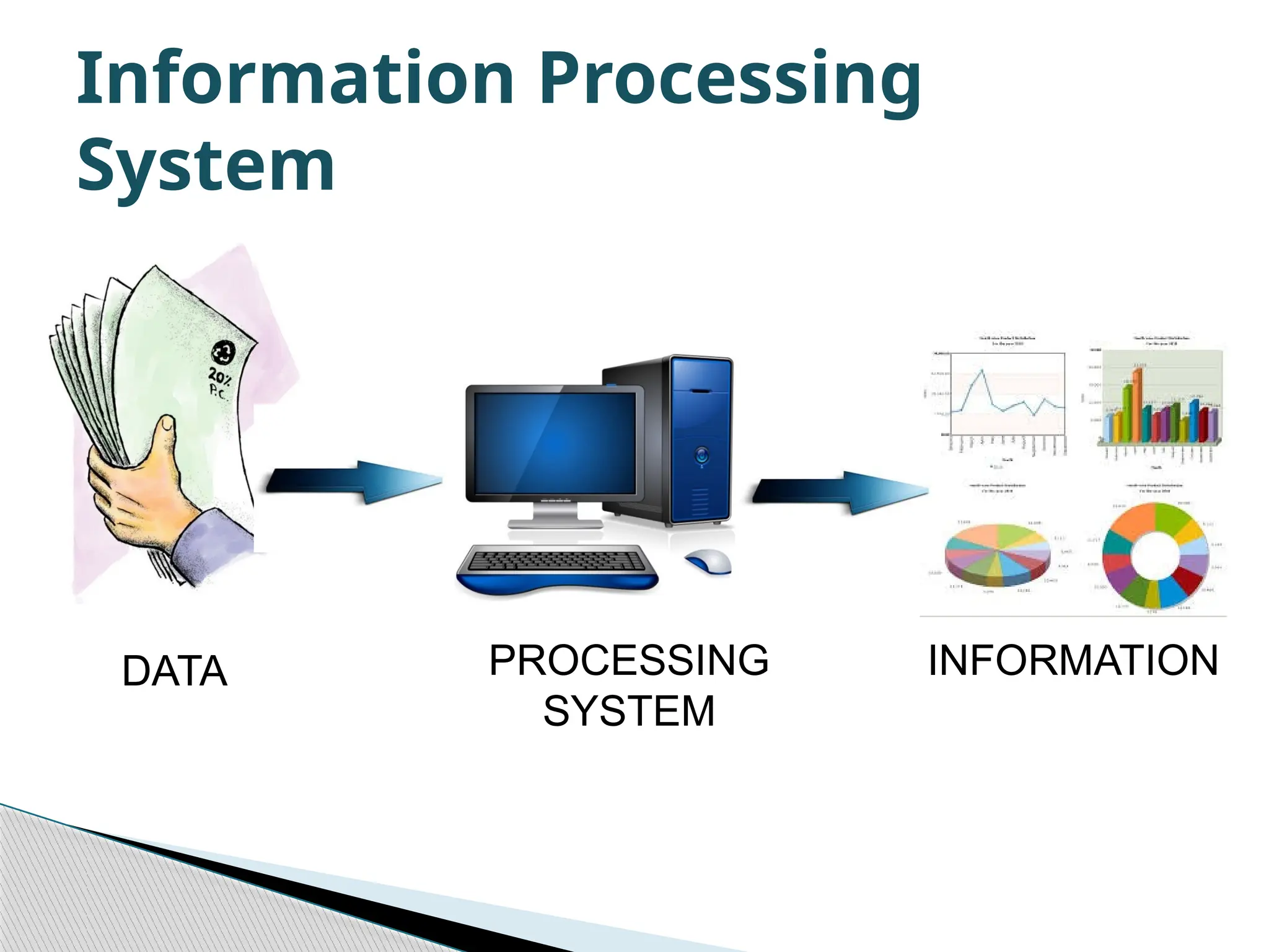 PROCESSING SYSTEM DATA INFORMATION Information Processing System 