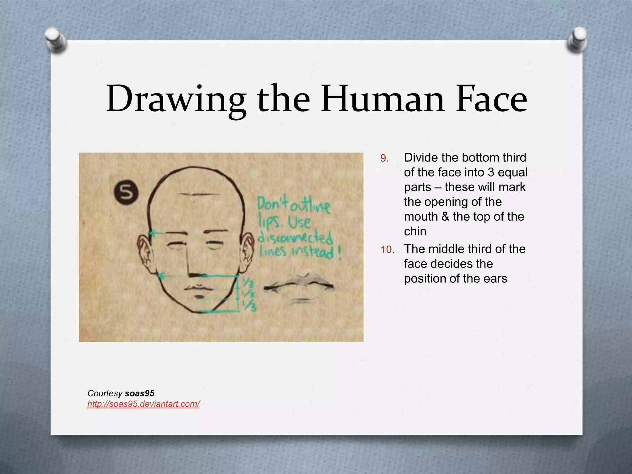 Drawing the Human Face
Divide the bottom third
of the face into 3 equal
parts – these will mark
the opening of the
mouth & the top of the
chin
10. The middle third of the
face decides the
position of the ears
9.

Courtesy soas95
http://soas95.deviantart.com/

 