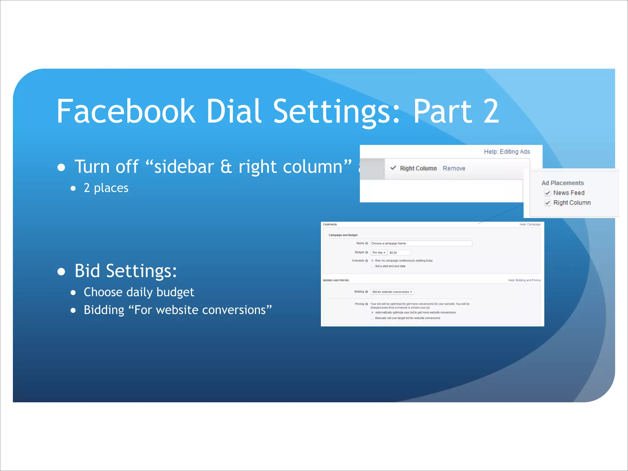 Facebook Dial Settings: Part 2
● Turn off “sidebar & right column” ads
● 2 places

!
!

● Bid Settings:
● Choose daily budget
● Bidding “For website conversions”

 