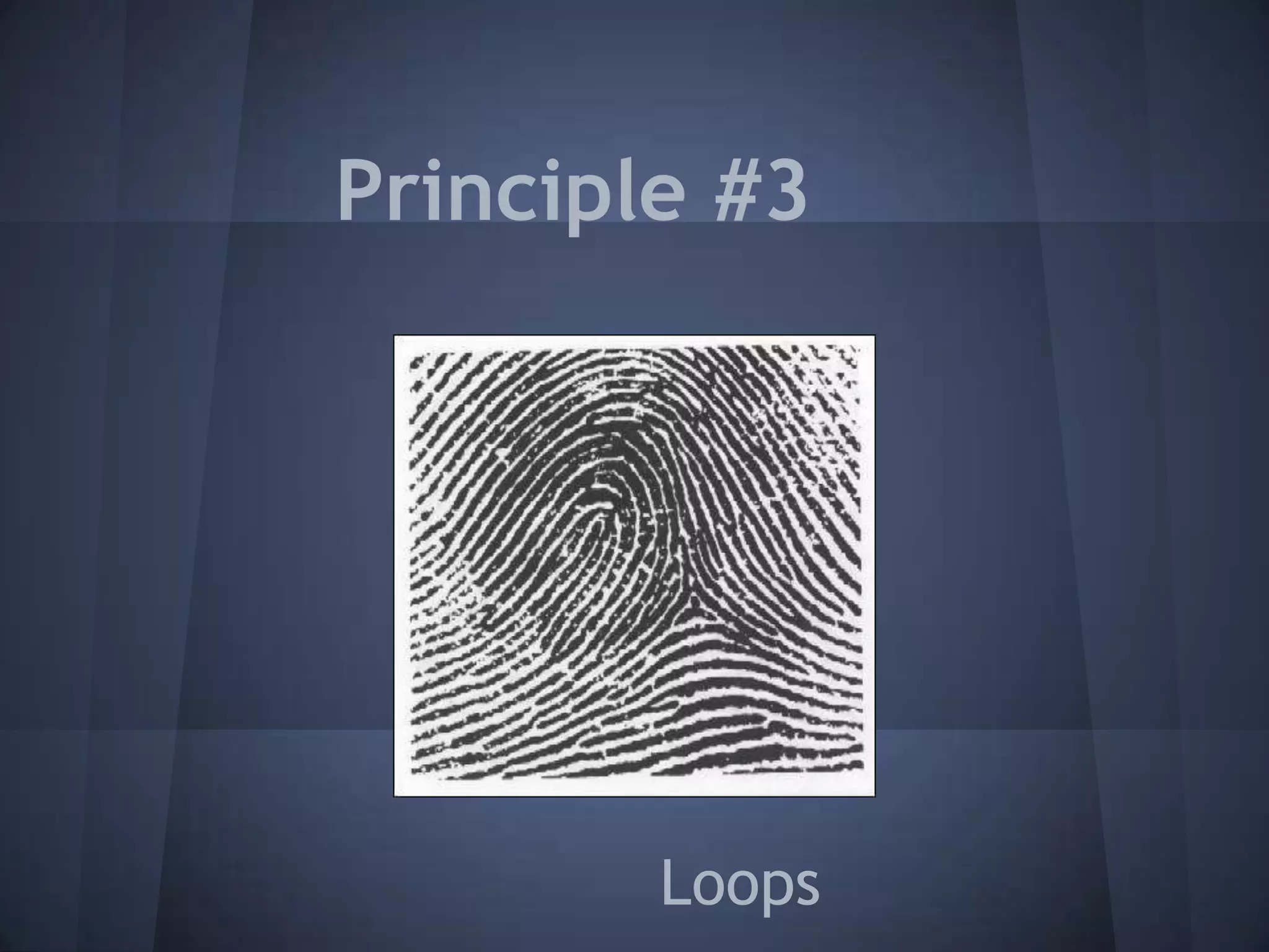 Principle #3
Loops
 