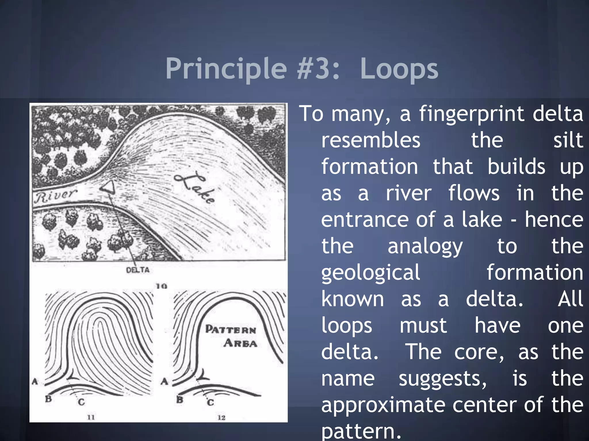 Principle #3: Loops
To many, a fingerprint delta
resembles the silt
formation that builds up
as a river flows in the
entrance of a lake - hence
the analogy to the
geological formation
known as a delta. All
loops must have one
delta. The core, as the
name suggests, is the
approximate center of the
pattern.
 