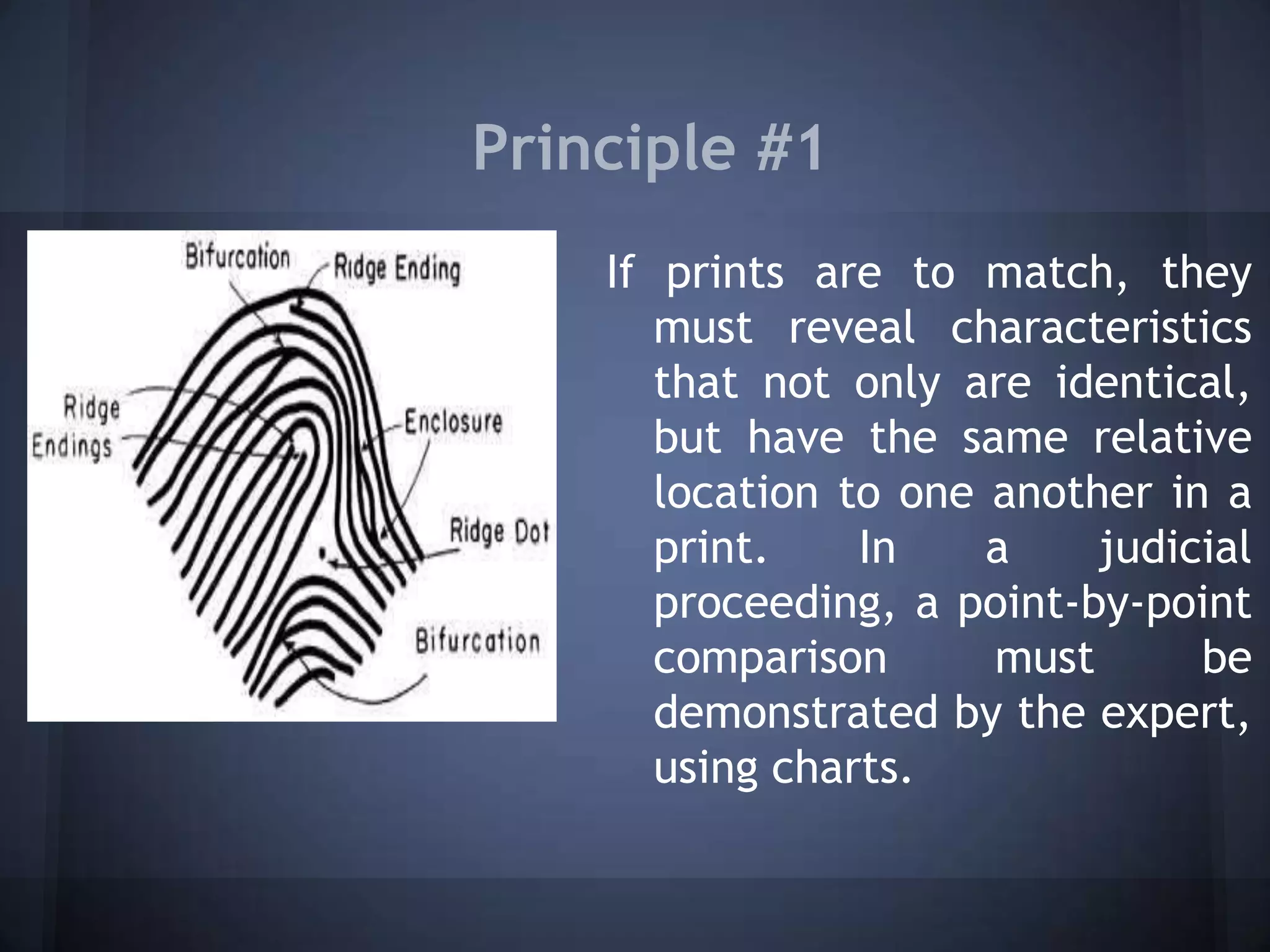 Principle #1
If prints are to match, they
must reveal characteristics
that not only are identical,
but have the same relative
location to one another in a
print. In a judicial
proceeding, a point-by-point
comparison must be
demonstrated by the expert,
using charts.
 