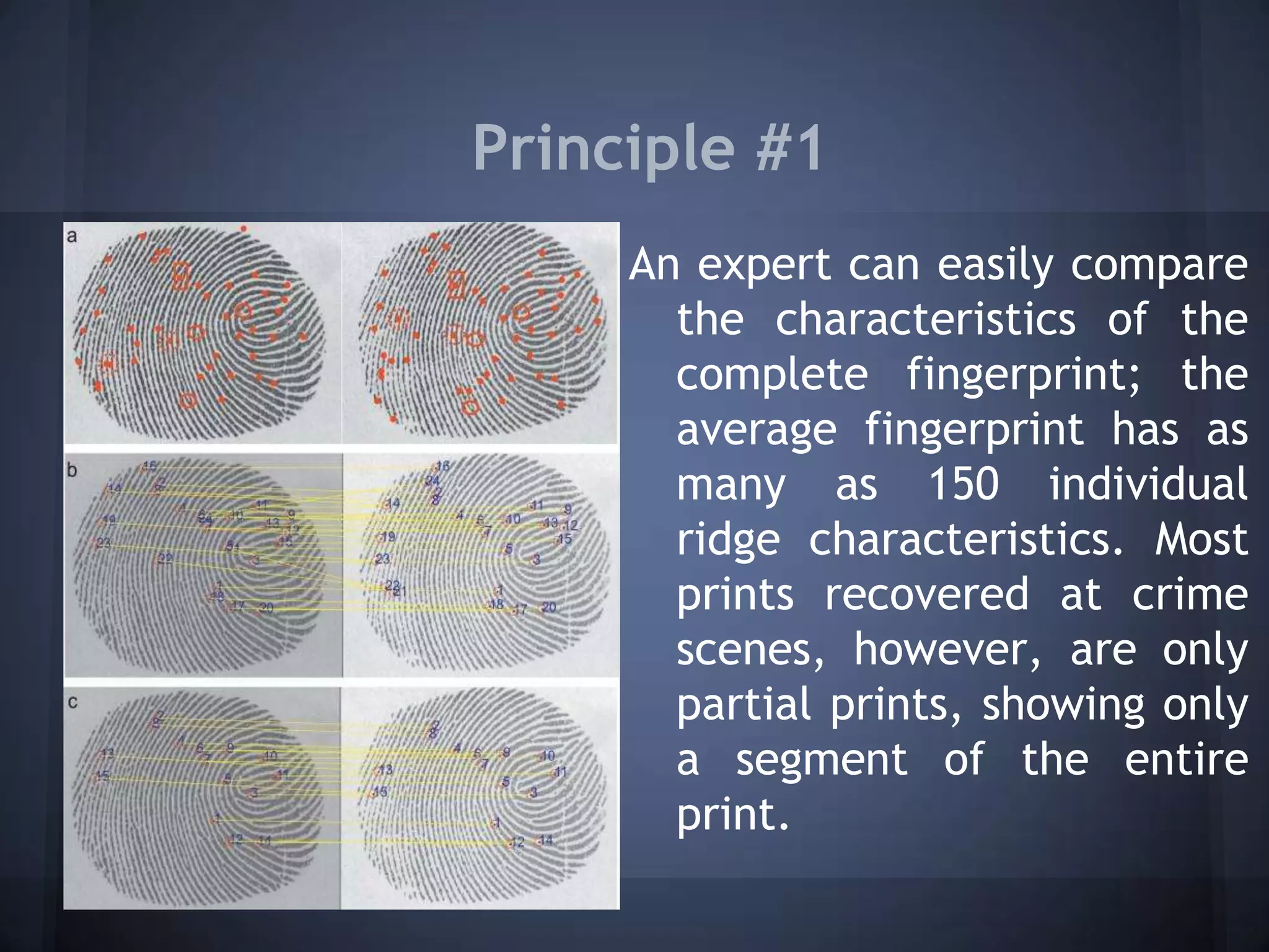 Principle #1
An expert can easily compare
the characteristics of the
complete fingerprint; the
average fingerprint has as
many as 150 individual
ridge characteristics. Most
prints recovered at crime
scenes, however, are only
partial prints, showing only
a segment of the entire
print.
 