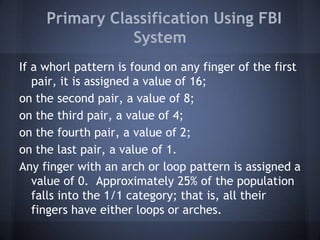 Fbi Fingerprint Pattern Chart Fundamentals of fingerprinting | PPTX
