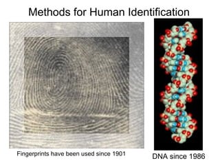 Fundamentals of Forensic DNA Typing .ppt
