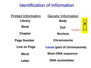 Fundamentals of Forensic DNA Typing .ppt